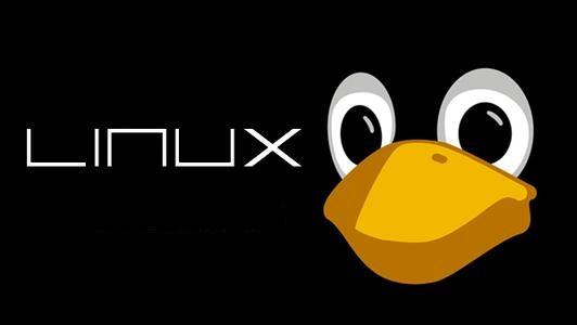 linux 命令积累